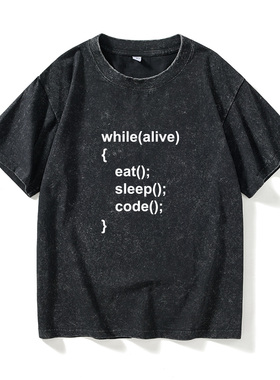 英剧it狂人IT Crowd程序猿员精英士T恤短袖个性衣服女男圆领大码