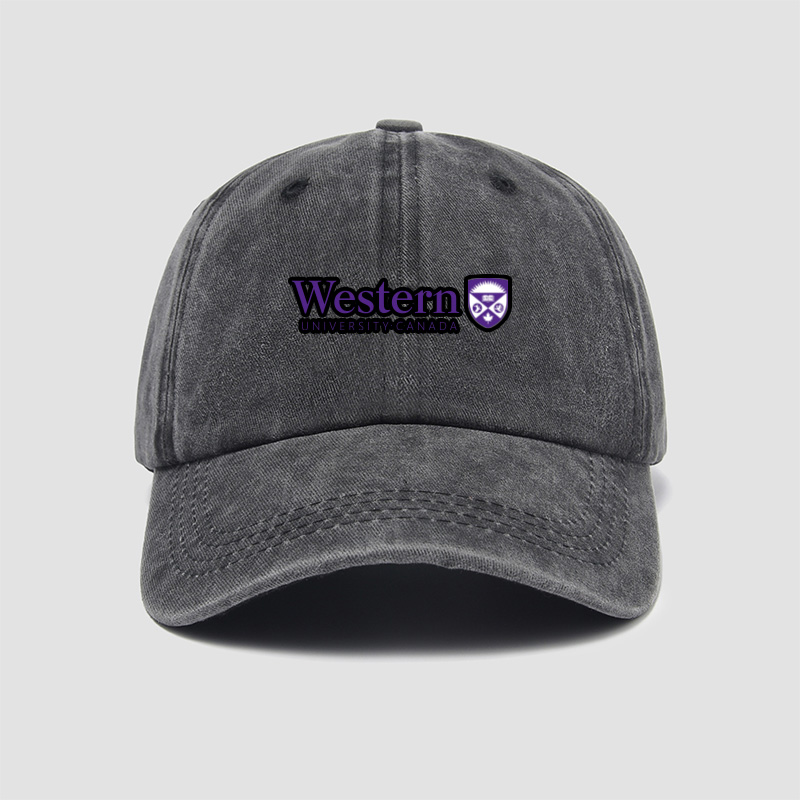 韦仕敦大学WesternUniversity