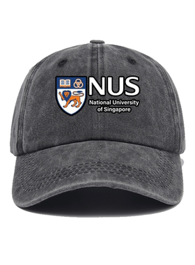 新加坡国立大学纪念品NUS周边校
