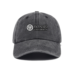 延世大学Yonsei University纪念品周边校服帽子棒球帽男女新款软