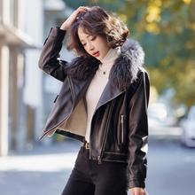 海宁真皮皮衣女短款加绒加厚2025秋冬新款绵羊皮外套韩版毛领夹克