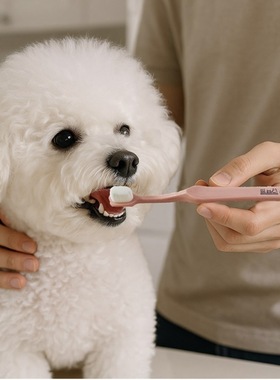 现货mollypets* 韩国代购ainsoap柔软细毛小刷头宠物猫狗专用牙刷