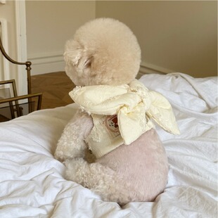 mollypets* 韩国代购meaningless小型犬大蝴蝶结刺绣胸背透气网格