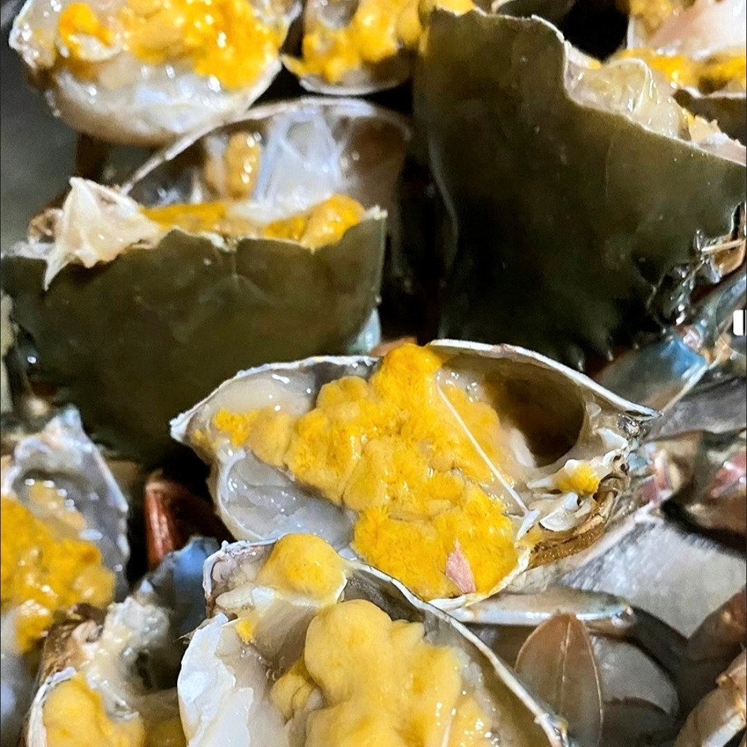 特价2斤装批发价青蟹奄仔蟹姑娘蟹母蟹红膏蟹蝤蛑大公蟹源头肉蟹