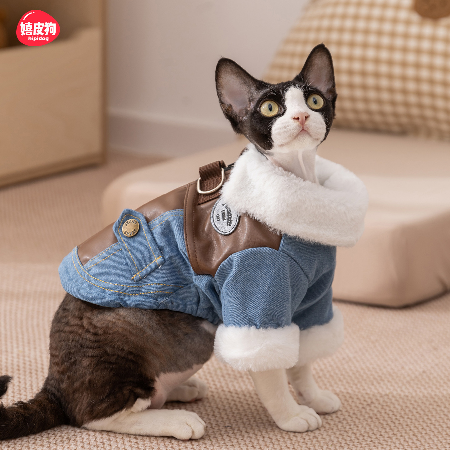 猫咪衣服秋冬装德文猫无毛猫布偶猫暹罗猫宠物棉衣小猫衣服防掉毛