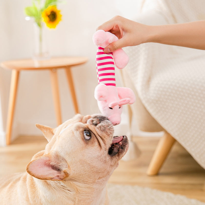 速发玩具毛绒发声磨牙耐咬器闷神解中小型犬泰迪金基柯毛用品