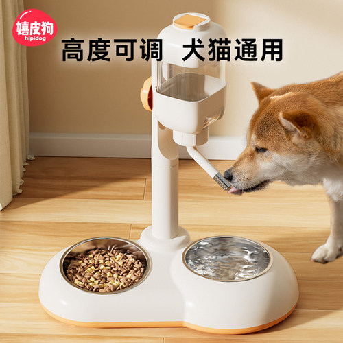 立式狗狗自动饮水器宠物可调节