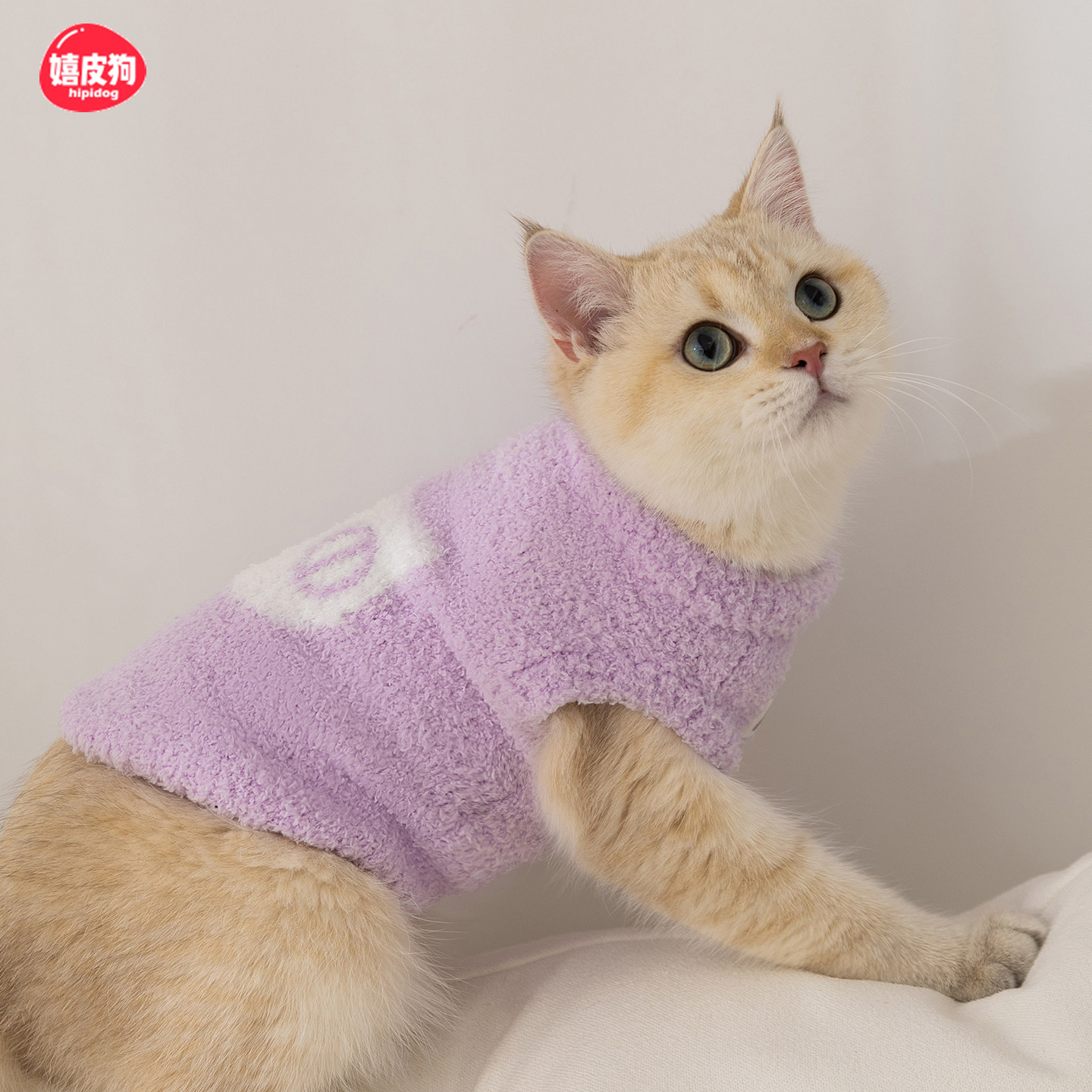 小猫咪衣服马甲布偶猫防掉毛薄款小猫猫毛衣狗狗幼猫宠物可爱秋装