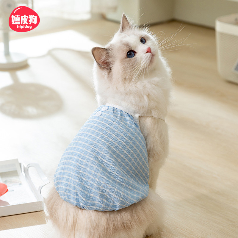猫咪衣服宠物春秋款小幼猫猫布偶英短蓝猫防掉毛小清新糖果色吊带