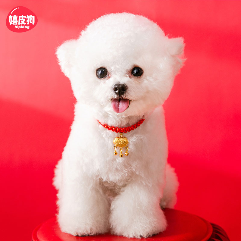 宠物长命锁新年狗狗猫咪红绳项圈