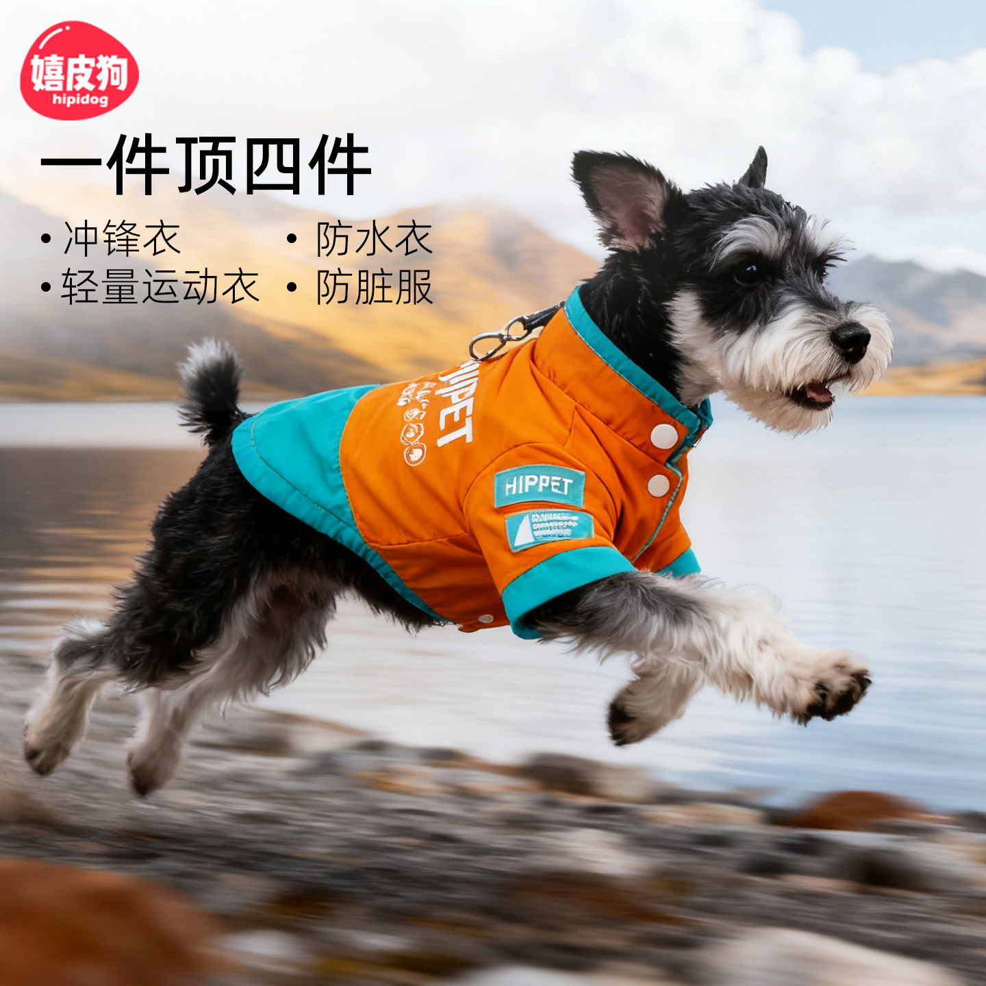 嬉皮狗秋冬冲锋棉衣防水防脏四合一比熊雪纳瑞小型犬保暖狗狗衣服