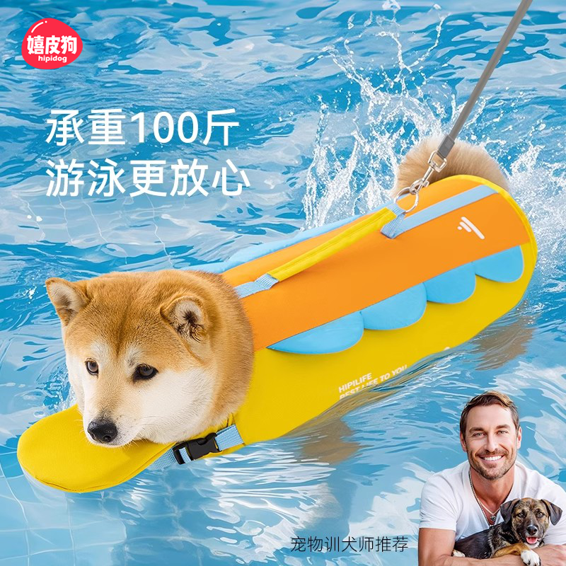 嬉皮狗彩虹拼接可牵引救生衣