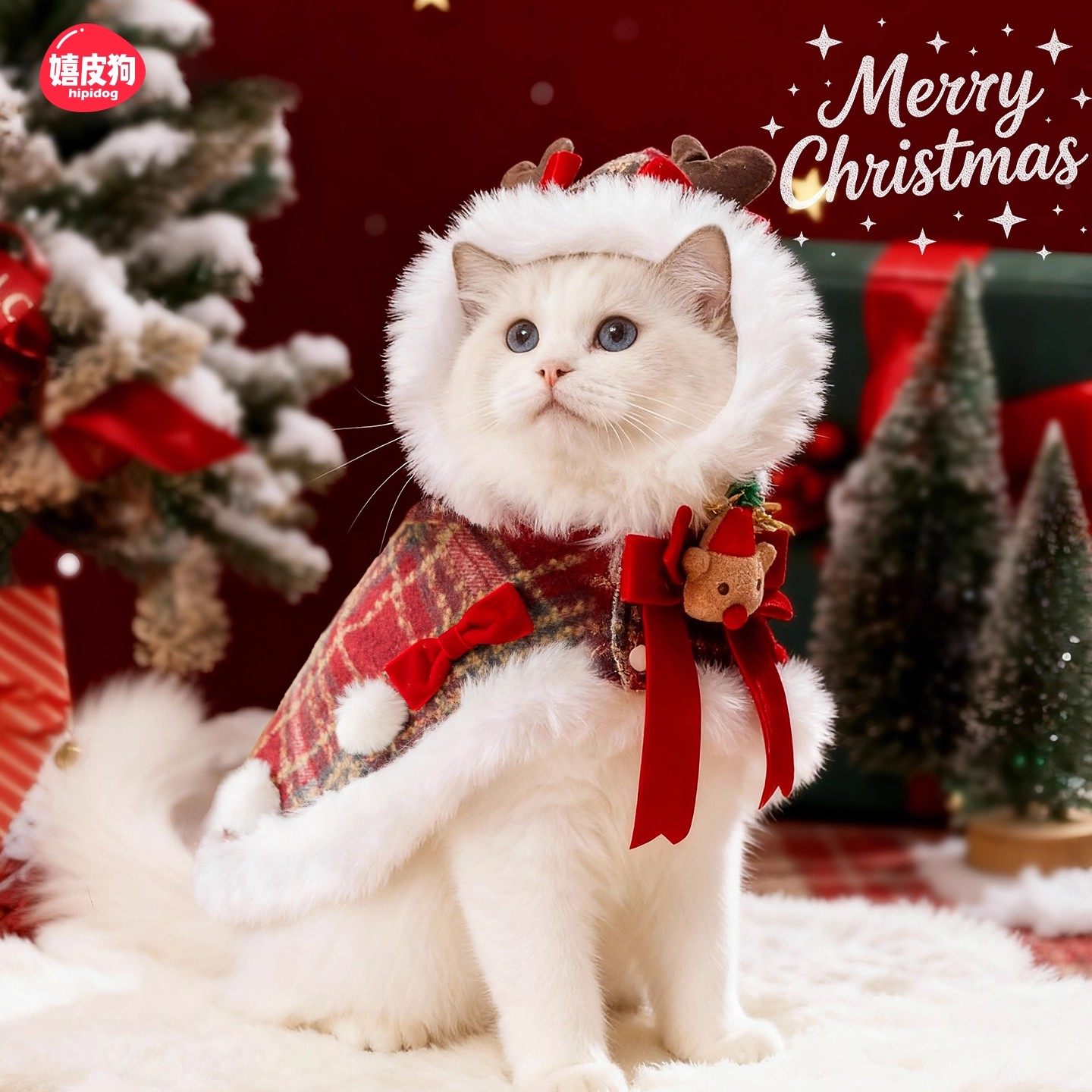 猫咪衣服2025新款冬装德文猫布偶猫暹罗宠物新年小猫衣服圣诞披风