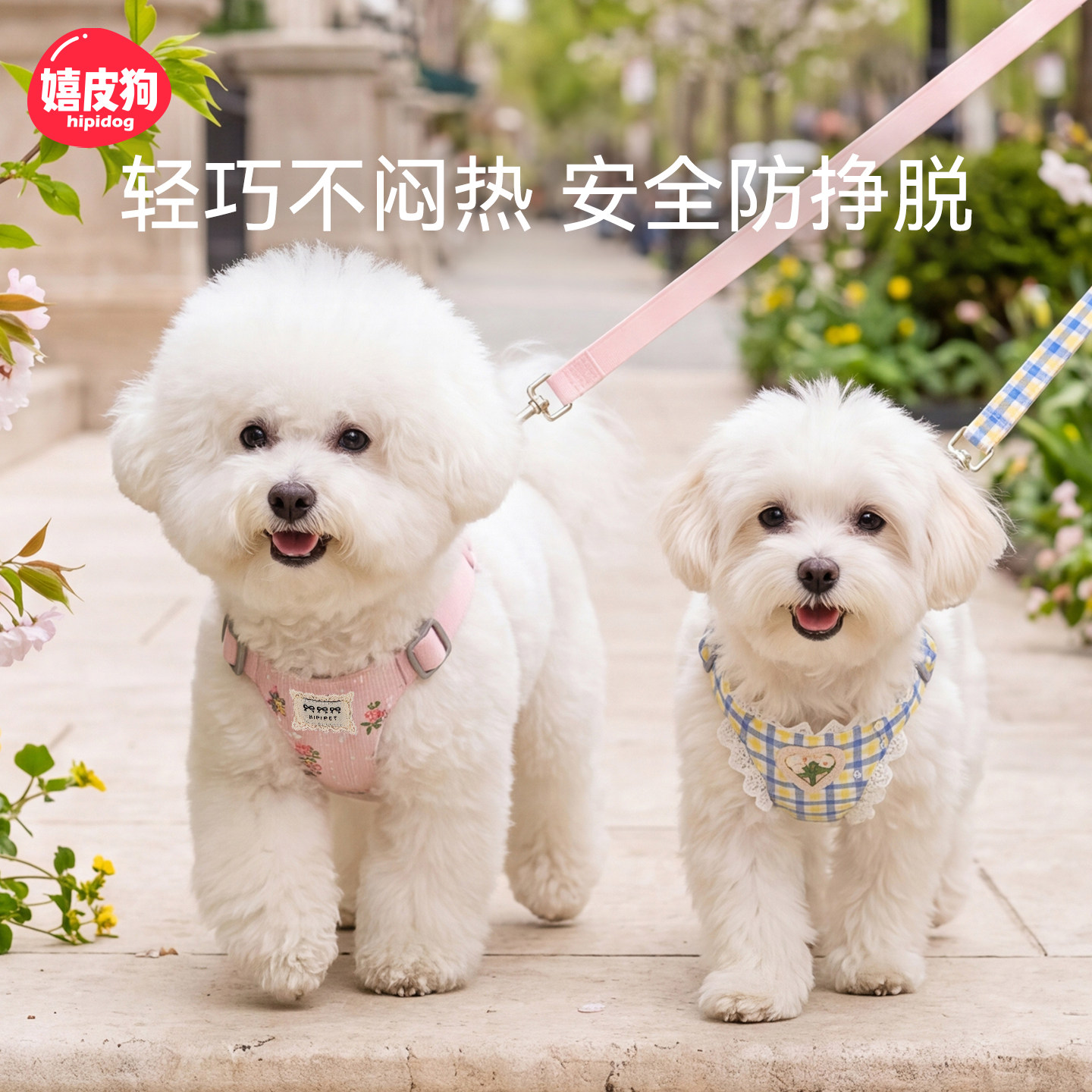 嬉皮狗牵引绳胸背带套装小型犬轻巧不闷热安全防挣脱出街遛狗胸背