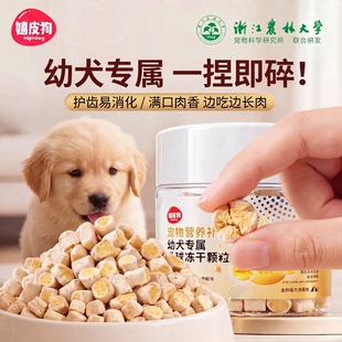 狗狗零食羊奶蛋黄鱼油冻干磨牙比熊两个月小型犬宠物幼犬训练奖励