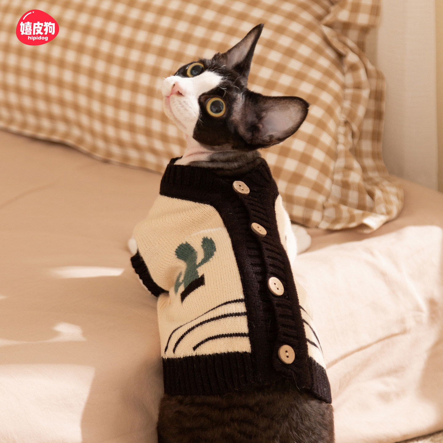 猫咪衣服防掉毛薄款无毛阿比西尼亚小猫幼猫猫宠物毛衣德文猫衣服
