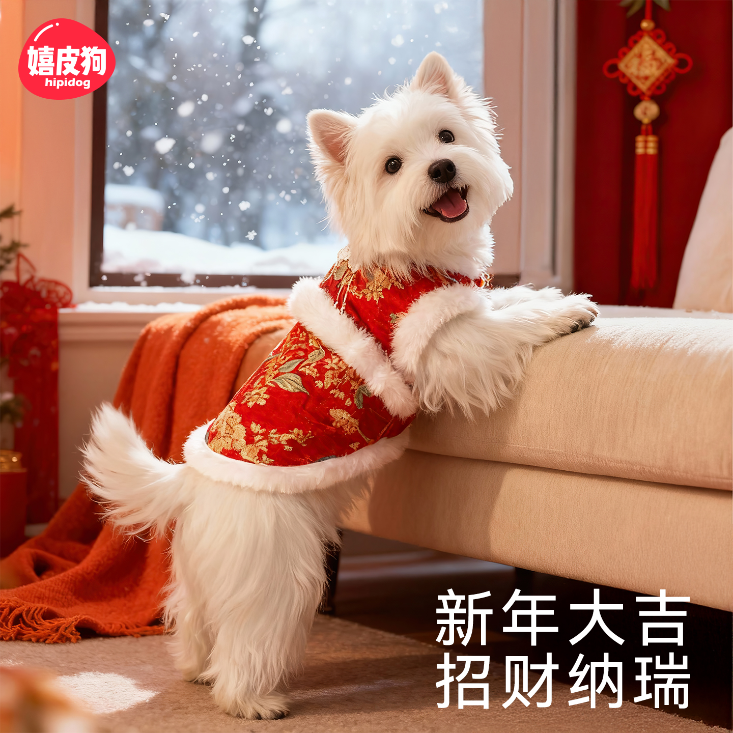 狗狗衣服2025新款冬装比熊泰迪雪纳瑞唐装新年小型犬宠物小狗衣服