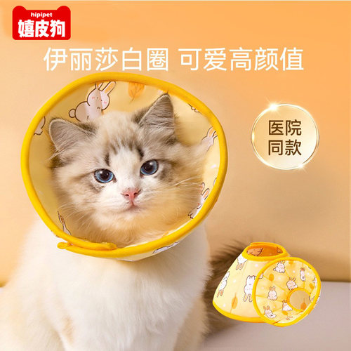 伊丽莎白圈猫绝育项圈防舔猫围