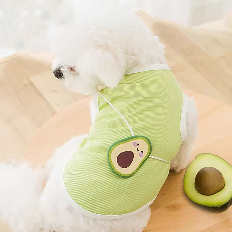 小狗狗衣服夏季薄款宠物猫比熊图片