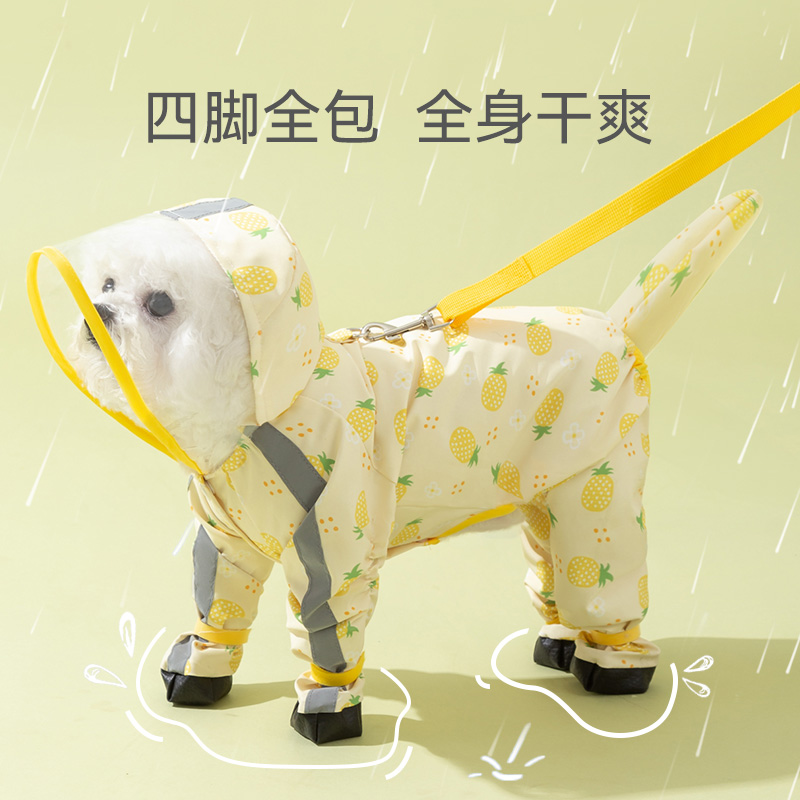 雨天遛狗一扣就走~雨季没烦恼！