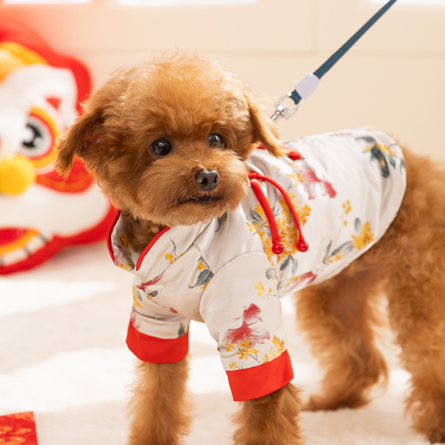 嬉皮狗|如鱼得水新年两脚唐装