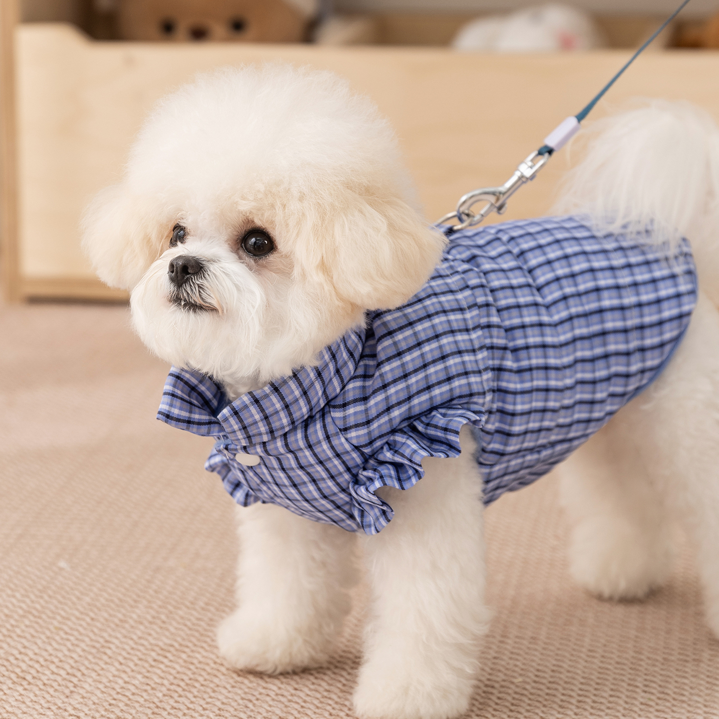 狗狗衣服2025新款冬装比熊泰迪雪纳瑞棉衣棉服小型犬宠物小狗衣服