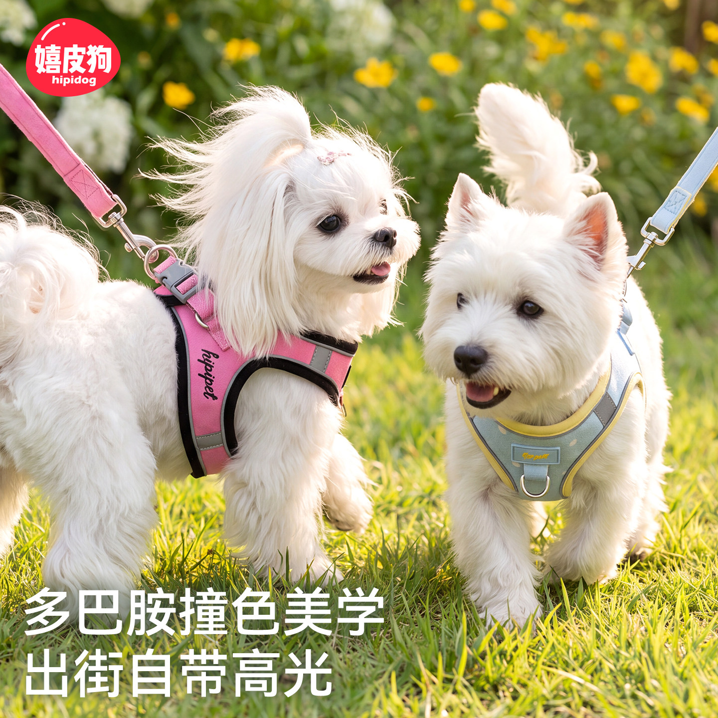 多巴胺撞色胸背牵引绳套装小型犬防爆冲背心式比熊泰迪博美溜狗绳