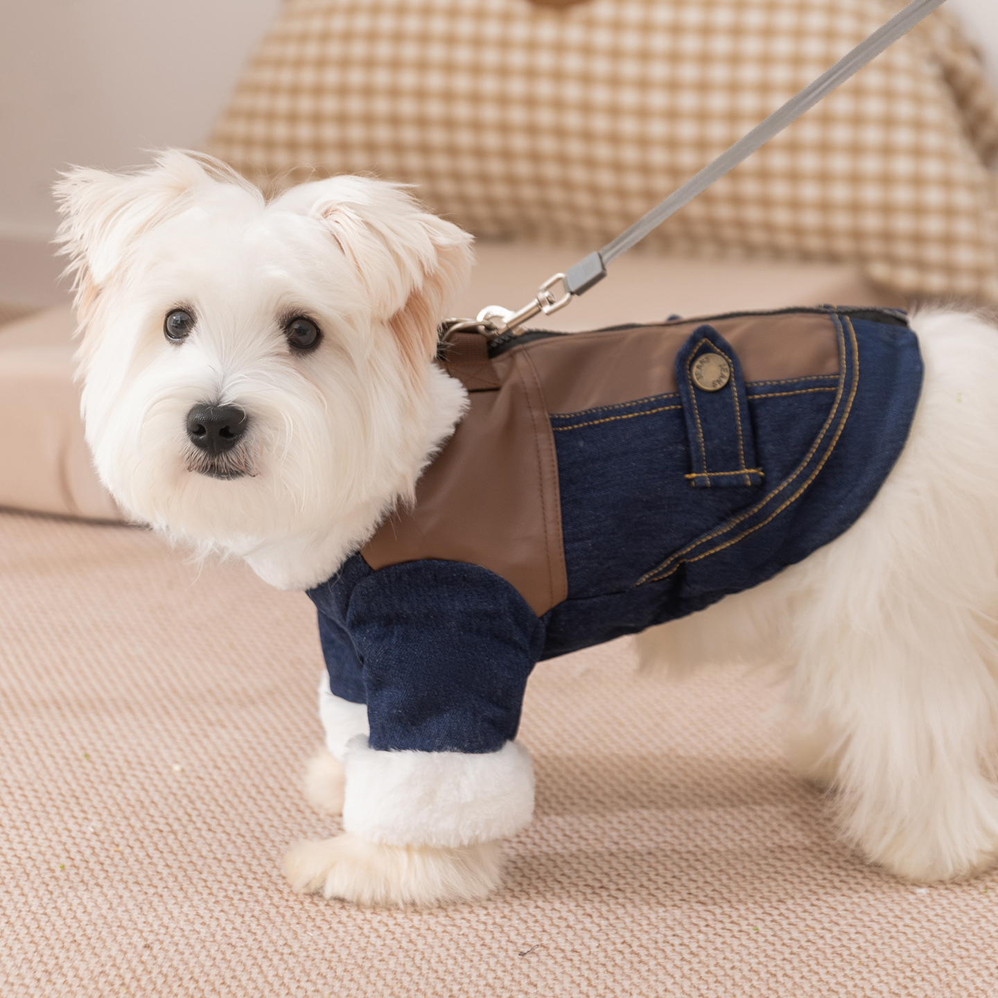 狗狗衣服2025新款秋冬装比熊泰迪雪纳瑞棉衣中小型犬宠物小狗衣服