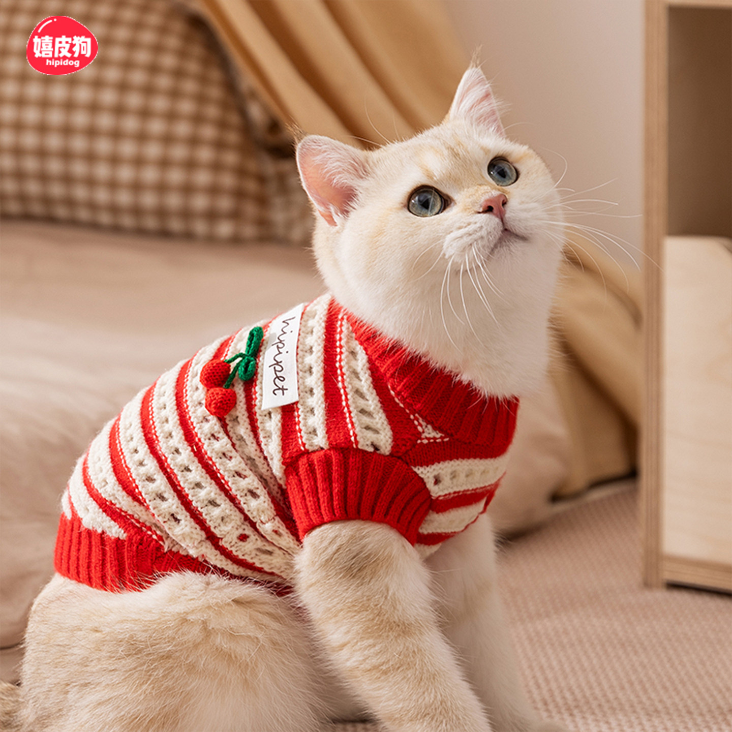 嬉皮狗小猫咪衣服秋季布偶猫防掉毛薄款小猫猫幼猫宠物春秋装毛衣
