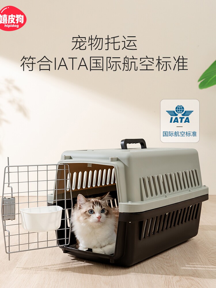 猫包外出便携大容量猫咪太空舱背包大容量航空箱手提式宠物行李箱