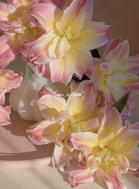 彩虹糖云南基地鲜花瓶插香水百合新鲜直发大头水培鲜切花家庭装