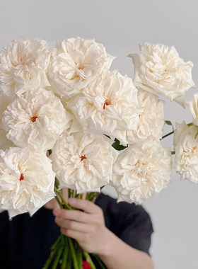 怒放A级20支白荔枝玫瑰开得特别快有一股荔枝香