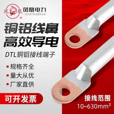 凤凰铜铝鼻子DTL铜铝接头Phoenix金具电缆用圆头铜铝电缆接线批发