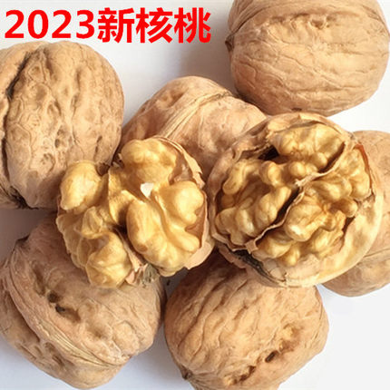 2023新鲜干核桃天津蓟县农家纸皮薄皮核桃蓟州特产