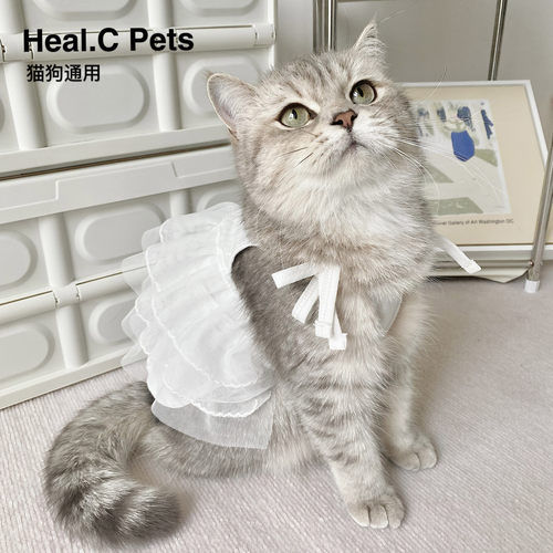 hc原创宠物猫咪狗狗可爱公主网纱