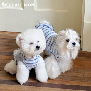 HC原创宠物条纹背心猫咪狗狗纯棉防掉毛比熊马尔济斯 独家面料