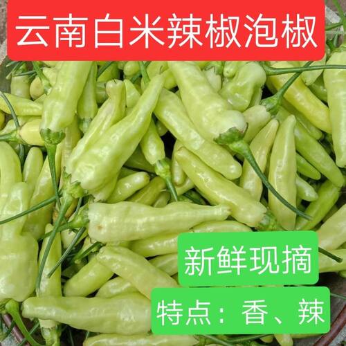 新鲜小米辣椒现摘现发云南白小米椒野山椒泡椒鲜蔬菜