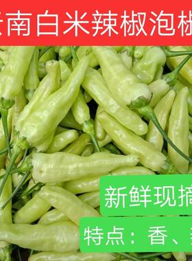 新鲜现摘云南保山小米辣椒