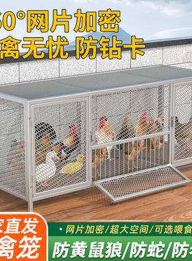 鸡笼子家用室外大号方管密网防雨防黄鼠狼加密养殖鸡笼子鹅笼鸭笼