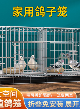 鸽子笼养殖笼家用带隔断配对繁殖笼大号肉鸽笼鸽子用品鸽舍鸽子窝