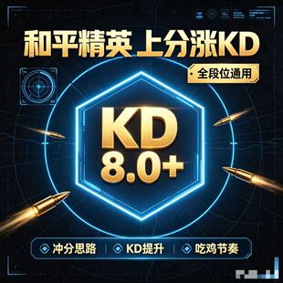和平精英打段位分代练上分打KD打淘汰分低保房王牌战神非 人机房