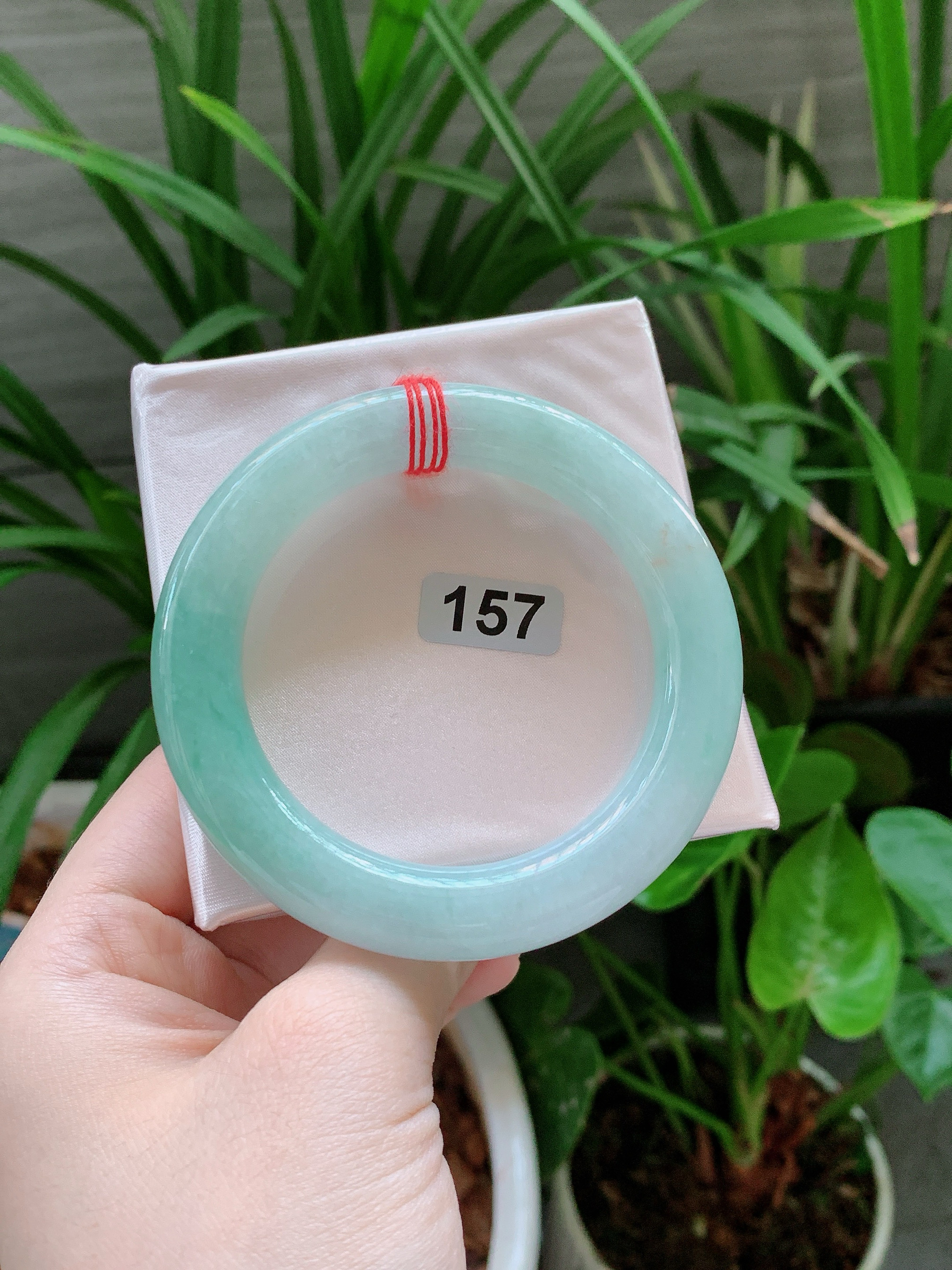 A货手镯56圈口冰糯种飘绿胖圆条手镯种老肉细女款带证书