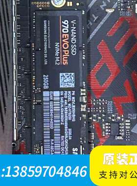 250G 970 EVO PLUS NVME M.2议价
