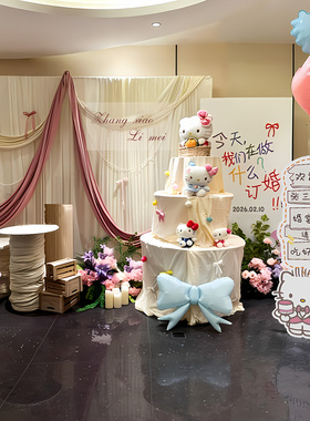 订婚宴布幔布置装饰韩系hellokitty氛围感背景板全套摆件酒店家里