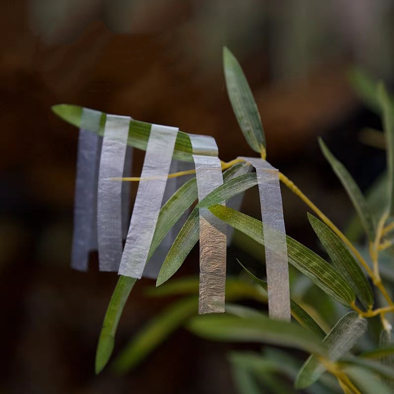 小乐亲测严选【天籁笛膜】瞬间提升音色，舞台轻松演奏