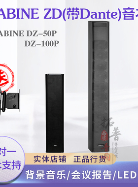 赛宾SABINE DZ-50P/100P带DANTE网络音柱音箱线阵列会议音柱音箱