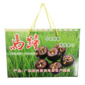 新鲜韶关马蹄大果10斤礼盒始兴马蹄特产特果送礼装 荸荠乐昌广西