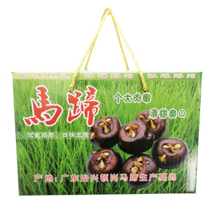 新鲜韶关马蹄大果10斤礼盒始兴马蹄特产特果送礼装荸荠乐昌广西