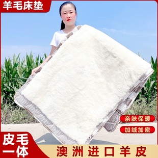 澳洲羊皮皮毛一体羊毛褥子隔凉防潮学生宿舍床铺羊羔毛床垫羊毛垫