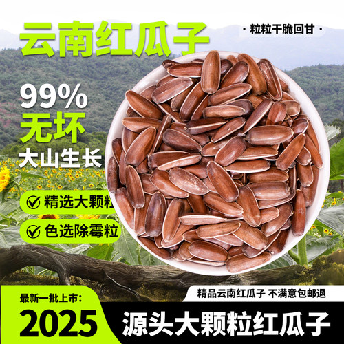 精选大粒云南红皮瓜子不上火原味